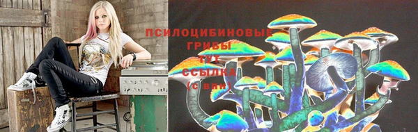 скорость Нефтекумск