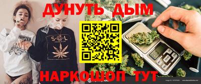 шишки Гатчина