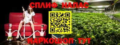 шишки Гатчина