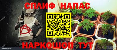 хмурый Беслан