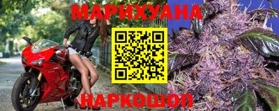 шишки Гатчина
