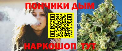 шишки Гатчина