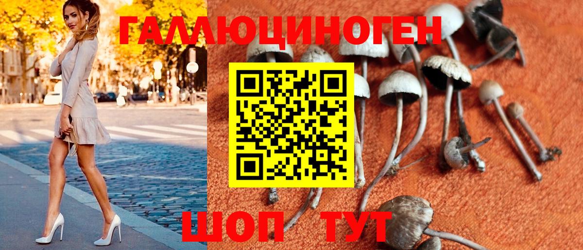 Псилоцибиновые грибы MAGIC MUSHROOMS Котовск