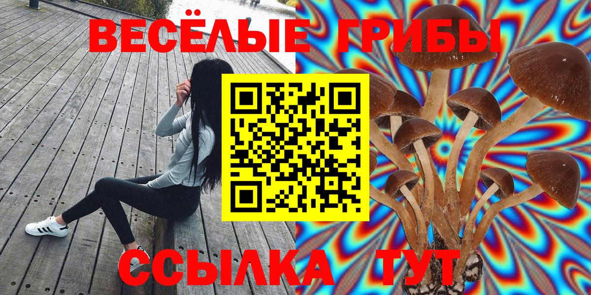 Псилоцибиновые грибы ЛСД  Псилоцибиновые грибы ЛСД  Котовск  Вход с VPN 