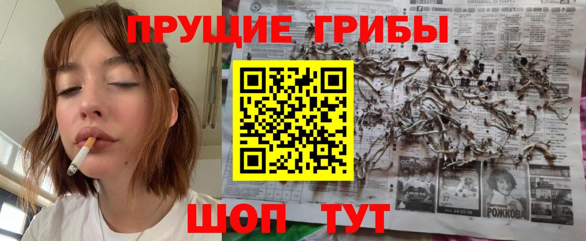 купить наркоту  Котовск  Псилоцибиновые грибы ЛСД 
