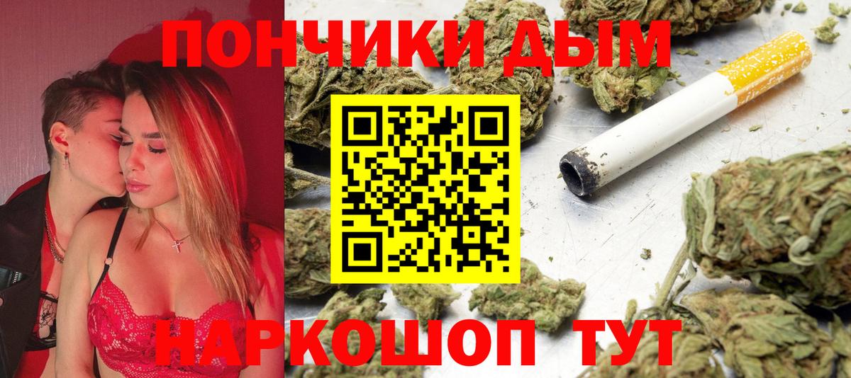 Бошки Шишки сатива Котовск